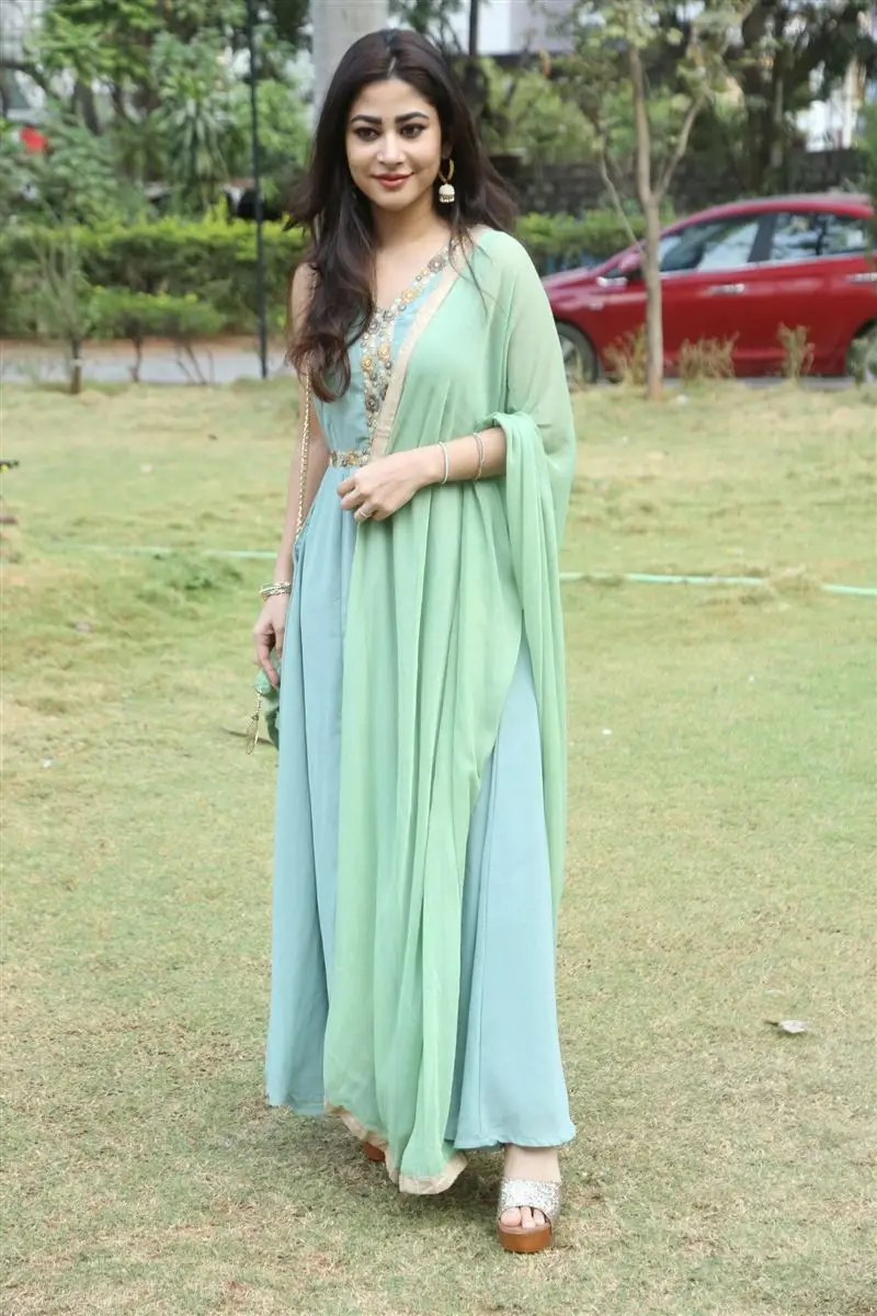 Telugu Girl Sonu Thakur In Sleeveless Green Gown